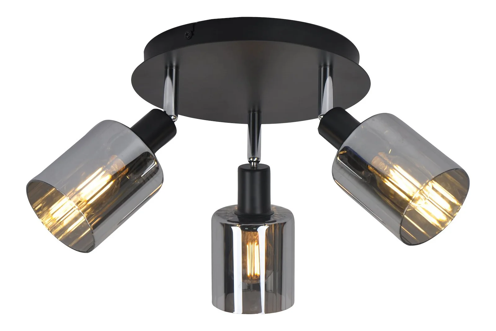Darwin taklampe